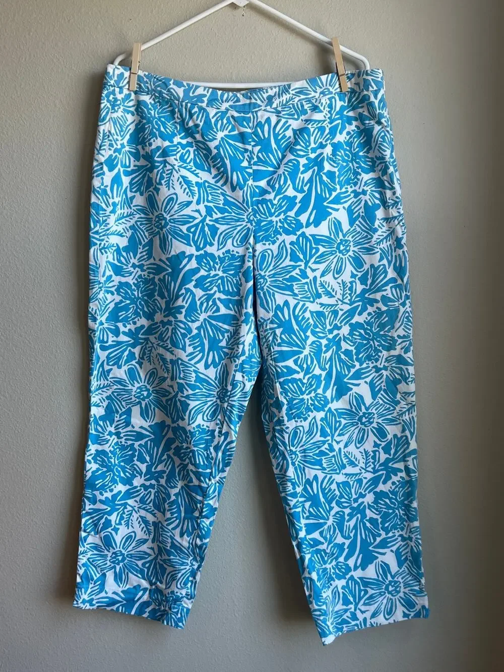 Talbots Chatham Sky Blue Floral Palm Stretch Ankle Pants Size 16 XL